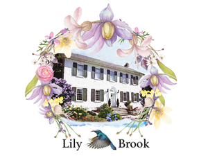 Lily Brook